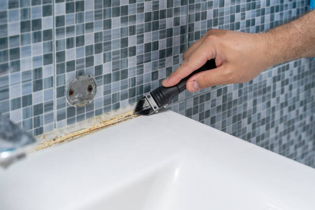 Trusted Spring Lake, MI Mold Removal Experts