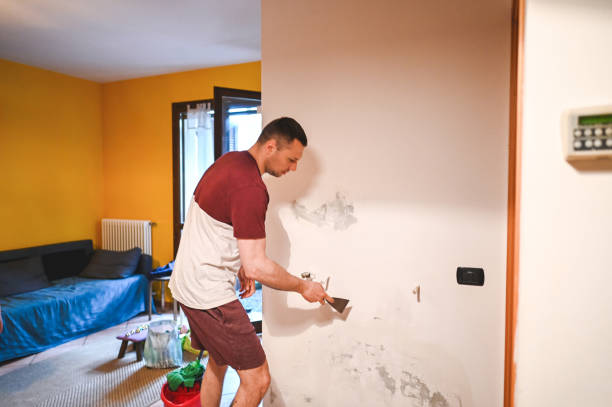 Best Residential Mold Removal  in Spring Lake, MI